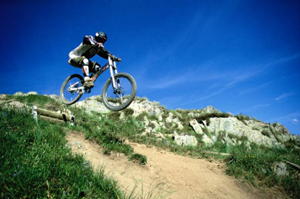 VTT