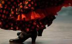 DANSE FLAMENCO