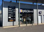 Optic 2000