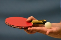 TENNIS DE TABLE TENNIS DE TABLE