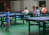 29 Mai 2011 > Tournoi de tennis de table "Claude Descous"