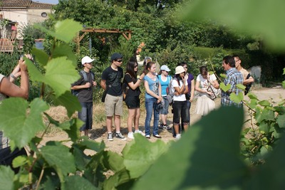 Session 2010 > Le blog des jeunes participants Session 2010 > Le blog des jeunes participants