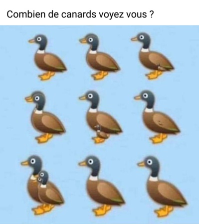 Chaque jour une énigme - la suite Chaque jour une énigme - la suite