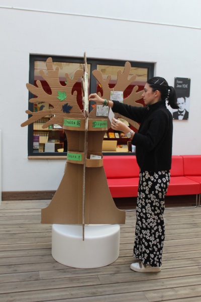 Grainothèque, rencontre "spécial tisanes" le 09/12 Grainothèque, rencontre "spécial tisanes" le 09/12