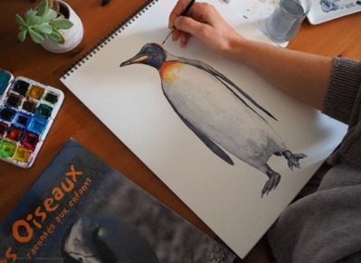 EXPO > "ESPECES CAPTIVES" EXPO > "ESPECES CAPTIVES"