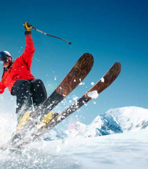 Ski-raquettes Ski-raquettes