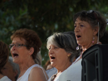 Dimanche 22 Novembre 2015 >> "Les Airs de rien" à Tourouzelle Dimanche 22 Novembre 2015 >> "Les Airs de rien" à Tourouzelle