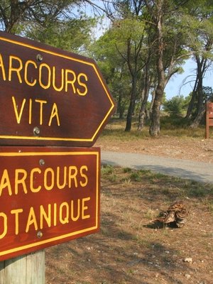 Parcours Vita - Pinède