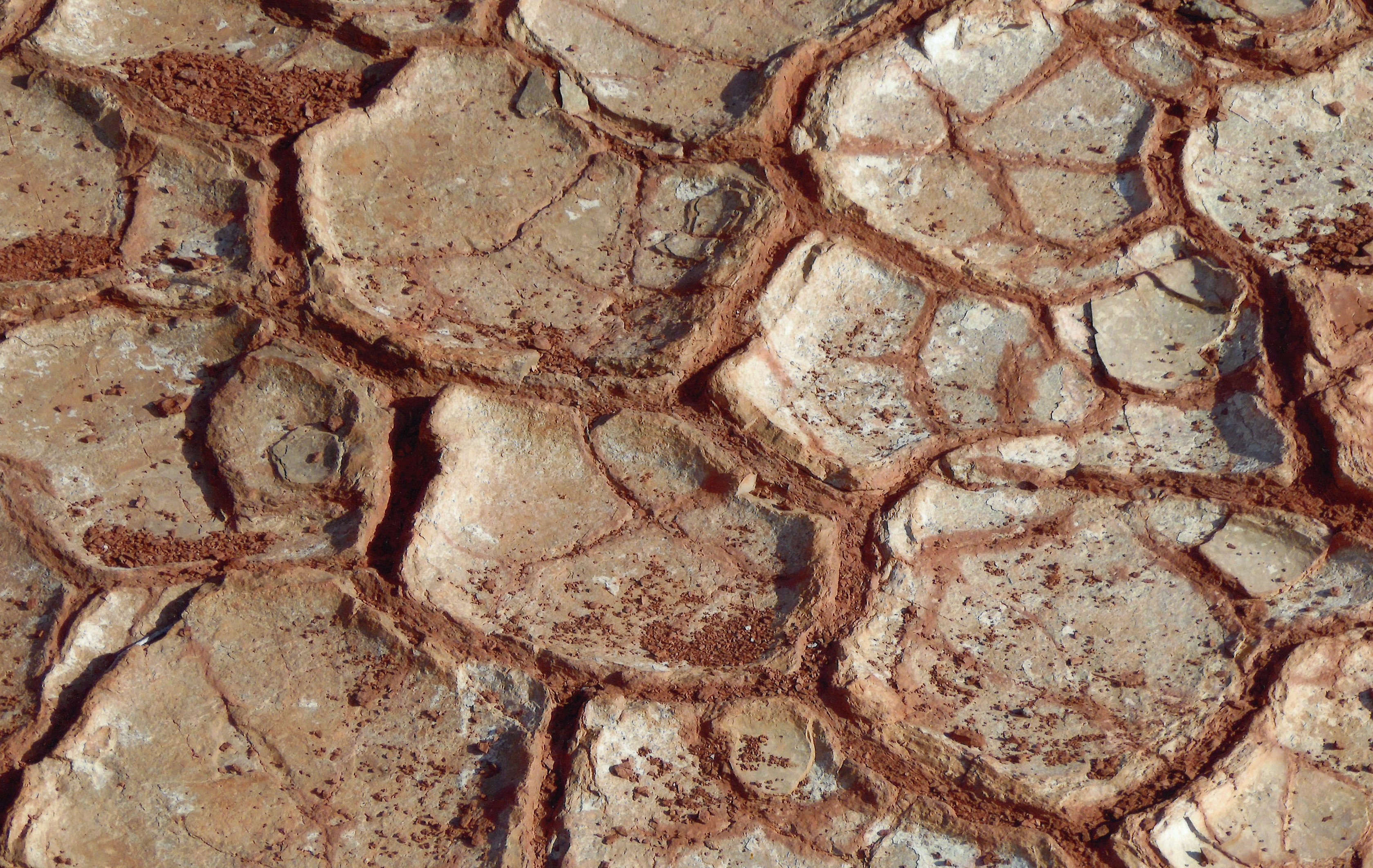 CLICHÉS DE BALADE, de-ci, de-là, par-ci, par-là CLICHÉS DE BALADE, de-ci, de-là, par-ci, par-là