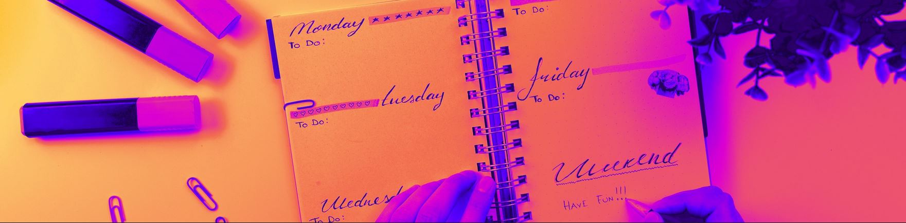 LES RENDEZ-VOUS DE LA MJC | Novembre 2025