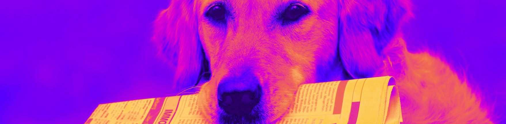 LA GAZETTE | Janvier 2026