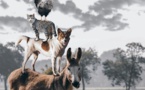 Histoires, contes, podcasts pour enfants & ados Histoires, contes, podcasts pour enfants & ados