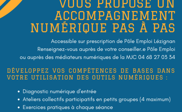 Le numérique Pas à Pas