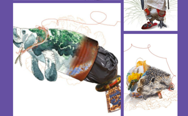 EXPO > "ESPECES CAPTIVES"