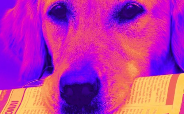 LA GAZETTE | Mars 2025