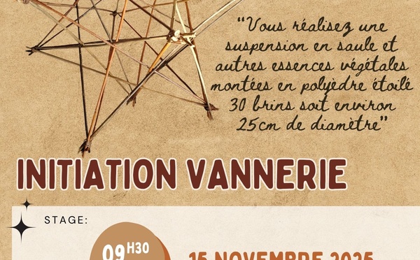 STAGE VANNERIE SUSPENSION ETOILEE