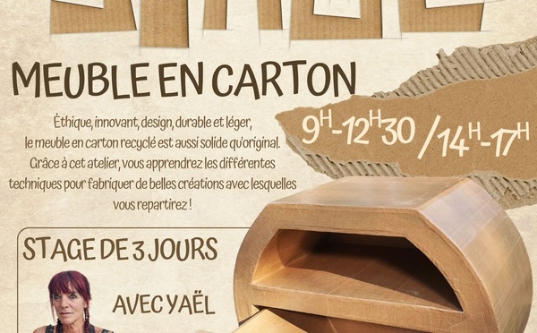 Stage meuble en carton