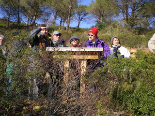 IMGP3964.JPG IMGP3964.JPG