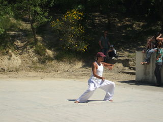 Tai chi chuan Tai chi chuan